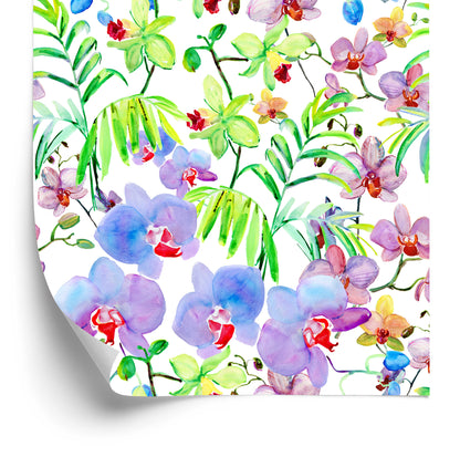 Wallpaper Orchid Orchids Plants Flowers For Living Room