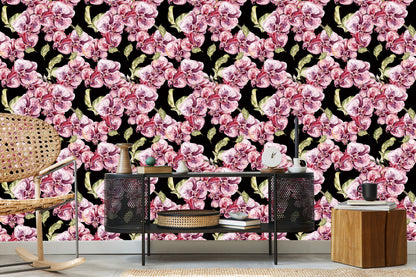 Wallpaper Orchid. Orchid. Nature. Flowers