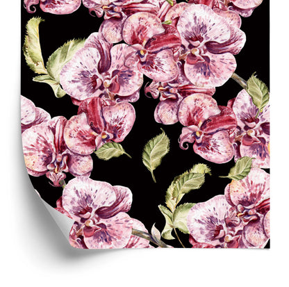 Wallpaper Orchid. Orchid. Nature. Flowers