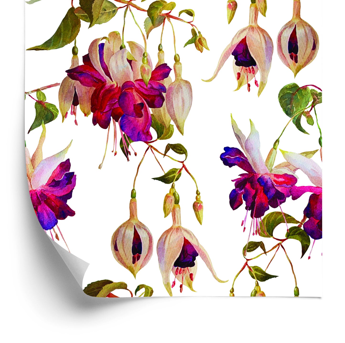 Wallpaper Flowers Fuchsia Nature Nature For Living Room