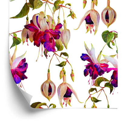 Wallpaper Flowers Fuchsia Nature Nature For Living Room