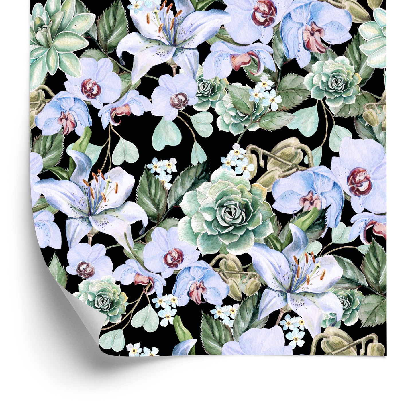 Wallpaper Plants. Nature. Orchids. Orchids. Orchids