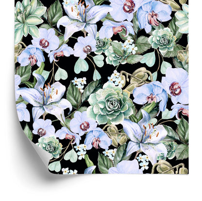 Wallpaper Plants. Nature. Orchids. Orchids. Orchids