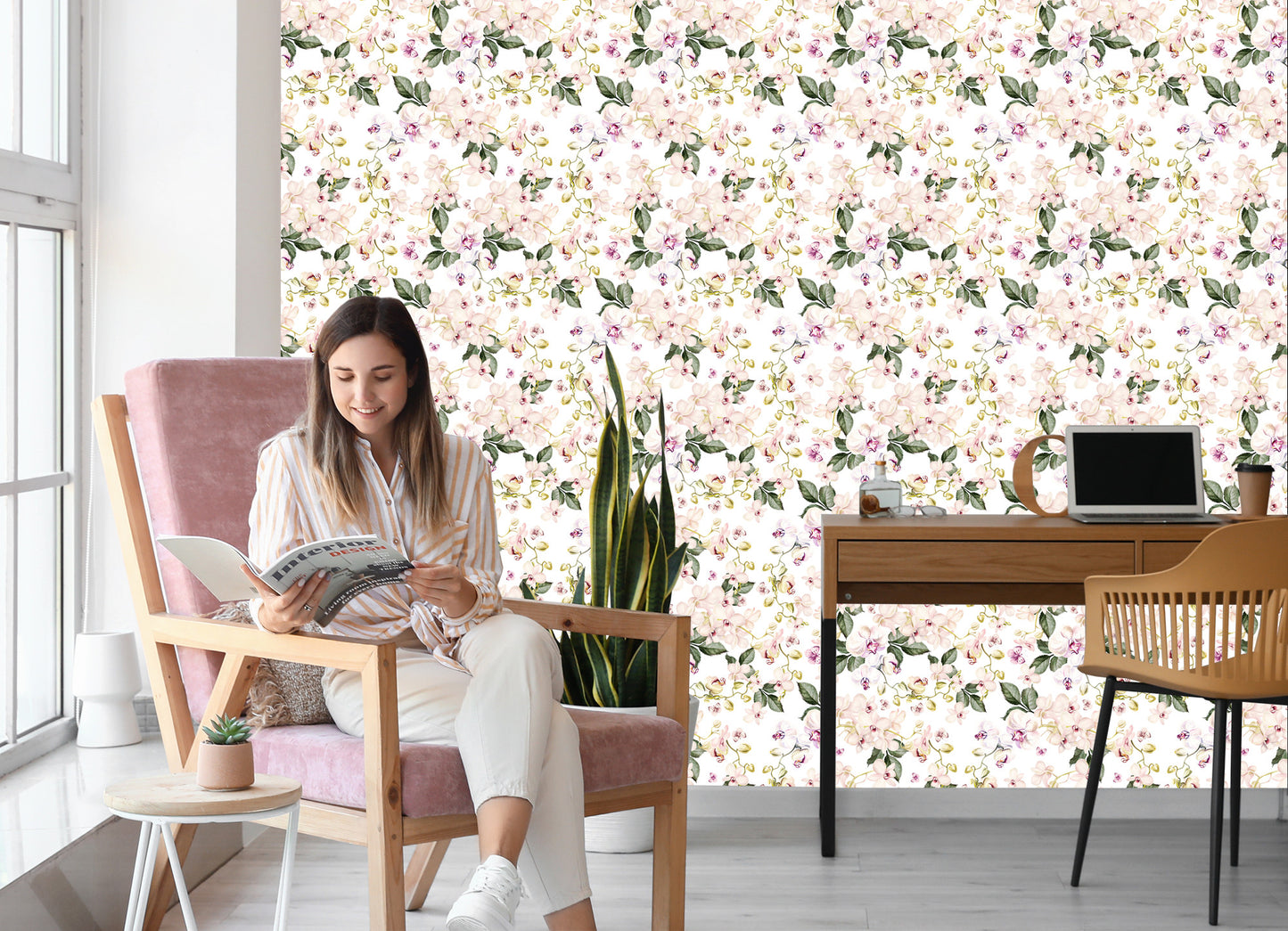 Wallpaper Orchid Orchid Flowers Nature For Living Room