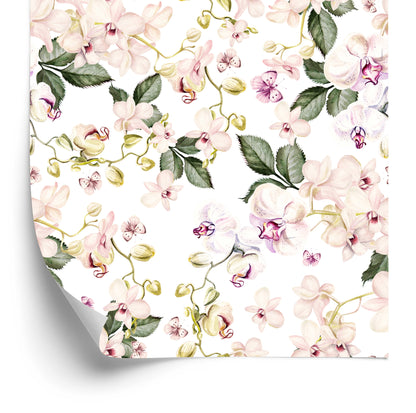 Wallpaper Orchid Orchid Flowers Nature For Living Room