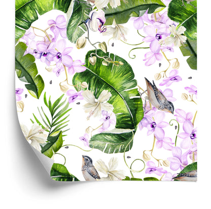 Wallpaper Plants. Nature. Orchids. Flowers
