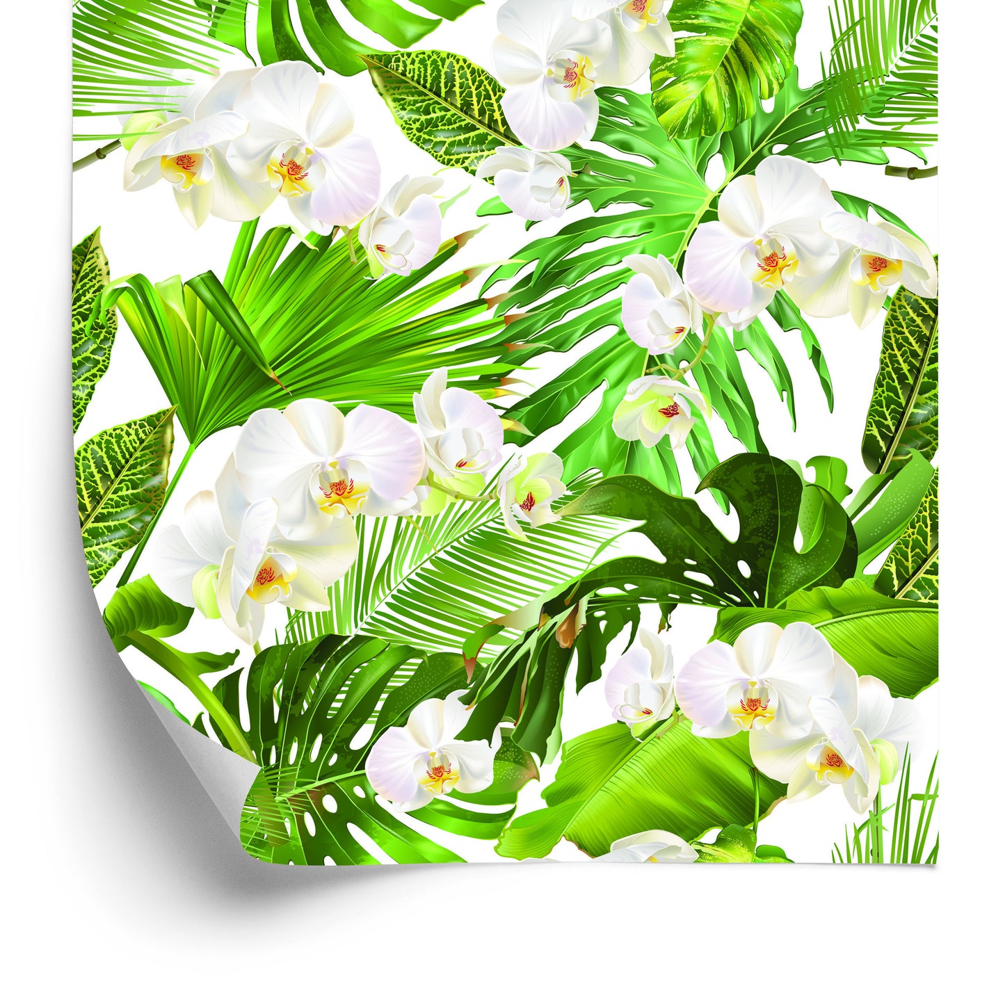 Wallpaper Nature Green Orchids Flowers For Living Room
