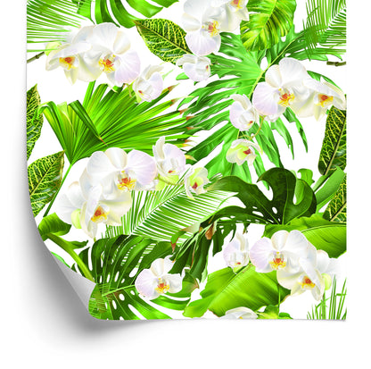 Wallpaper Nature Green Orchids Flowers For Living Room