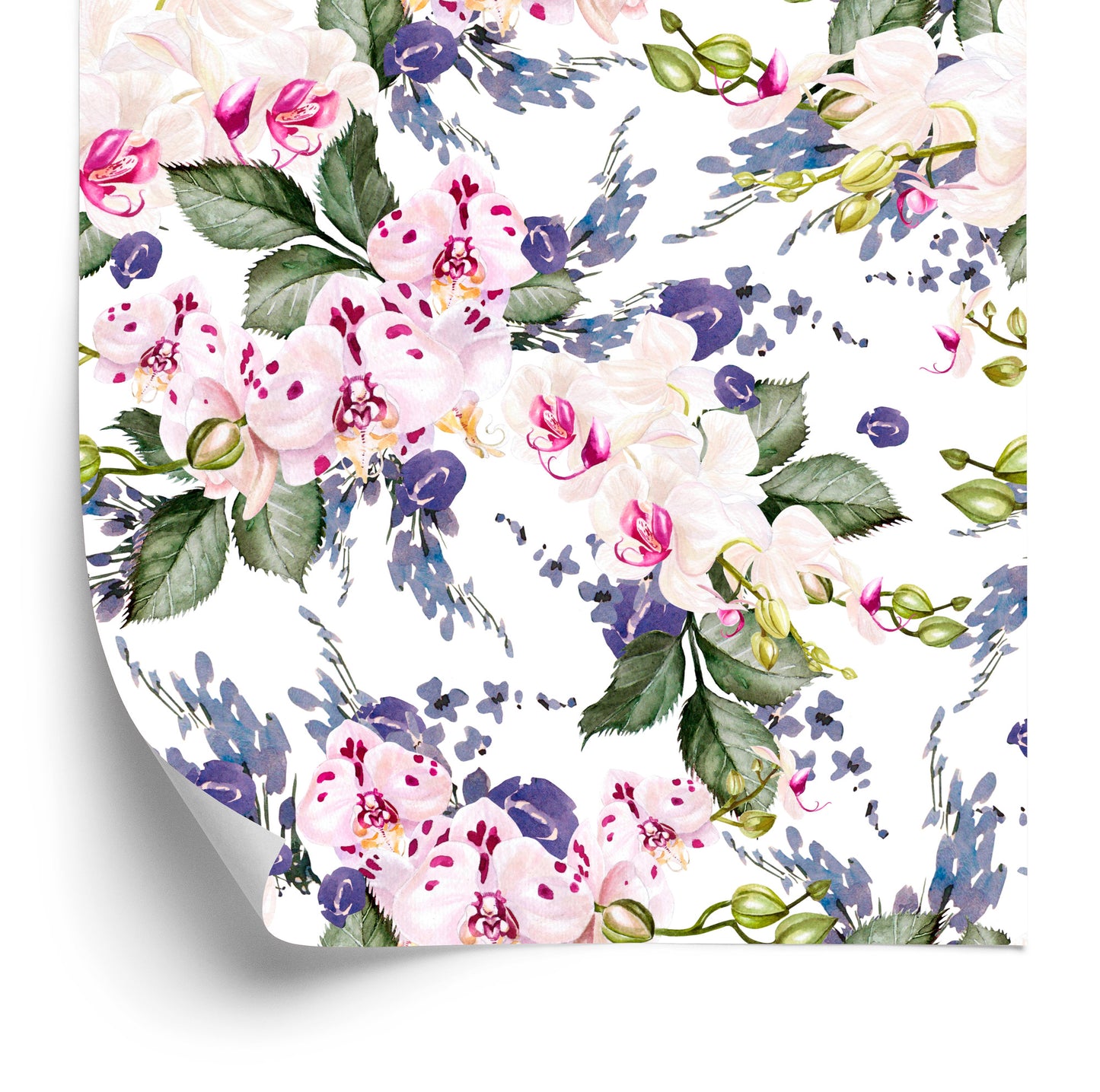 Wallpaper For Living Room Green Flowers Orchids Orchid