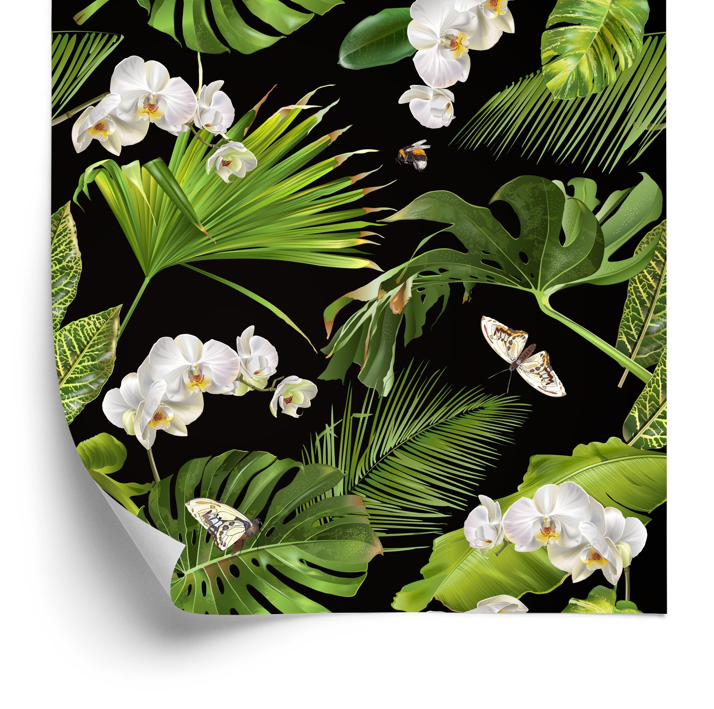 Wallpaper Flowers Orchids Nature For The Bedroom