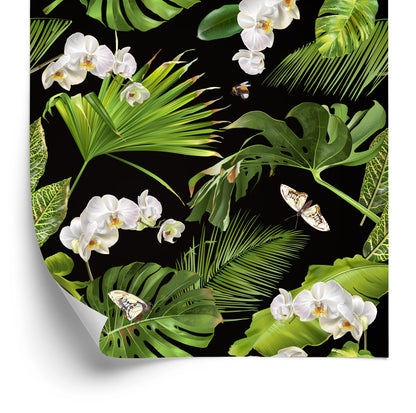 Wallpaper Flowers Orchids Nature For The Bedroom