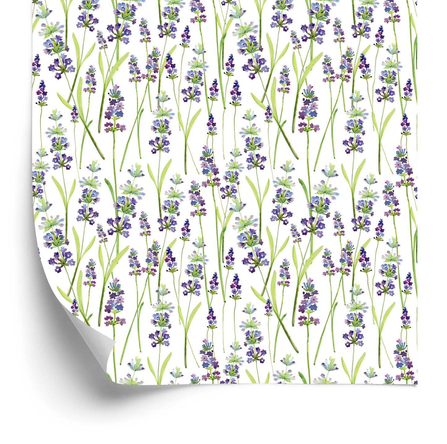 Wallpaper Lavender Green Plants