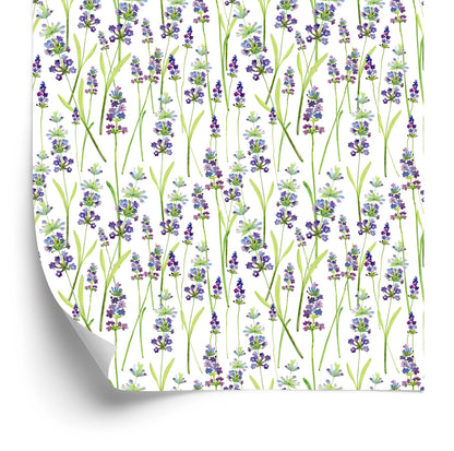 Wallpaper Lavender Green Plants