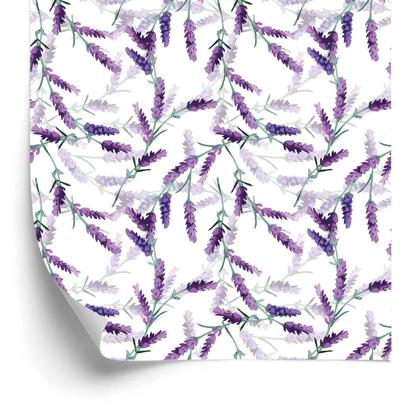 Wallpaper Lavender Scattered