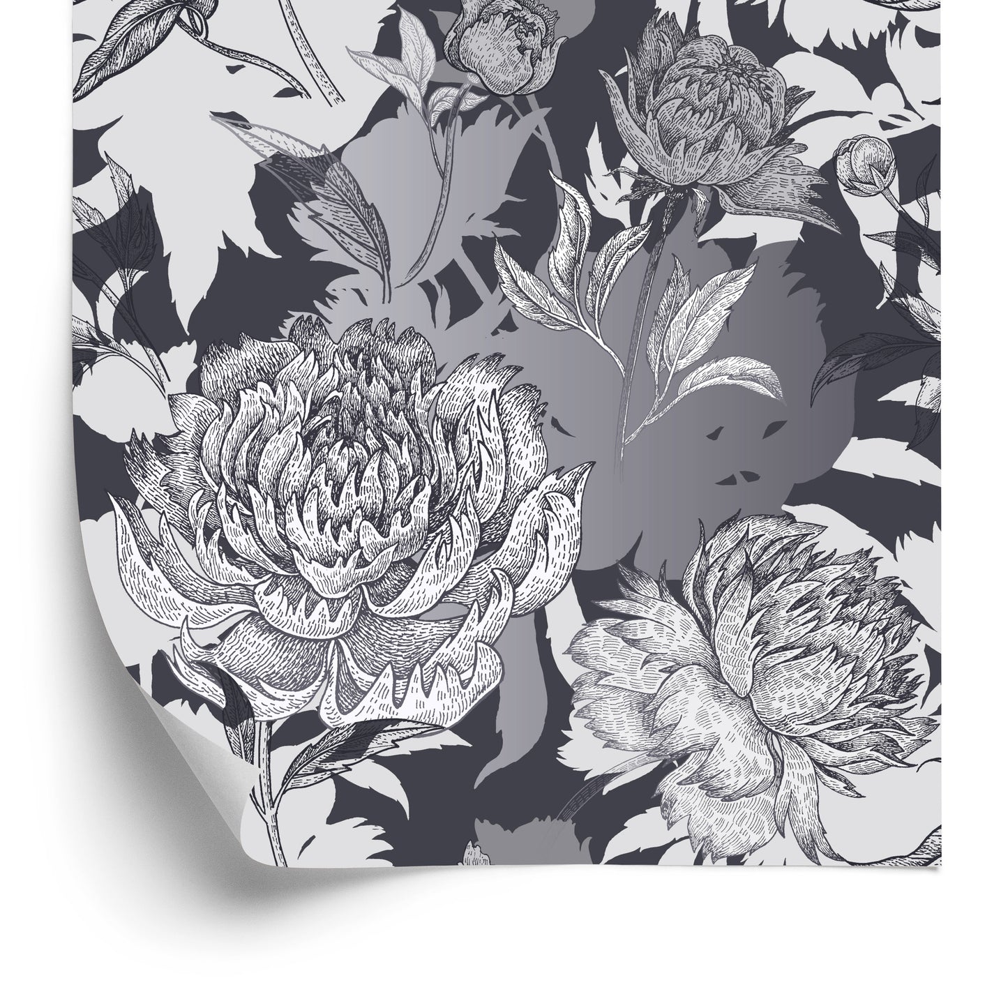Wallpaper Dark Peonies