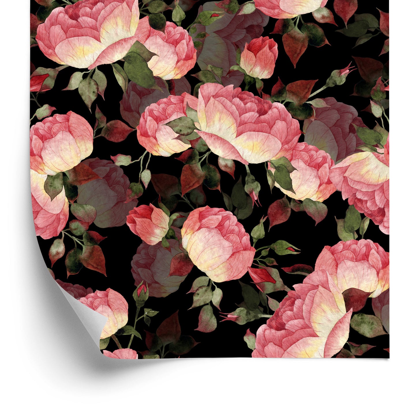 Wallpaper Roses
