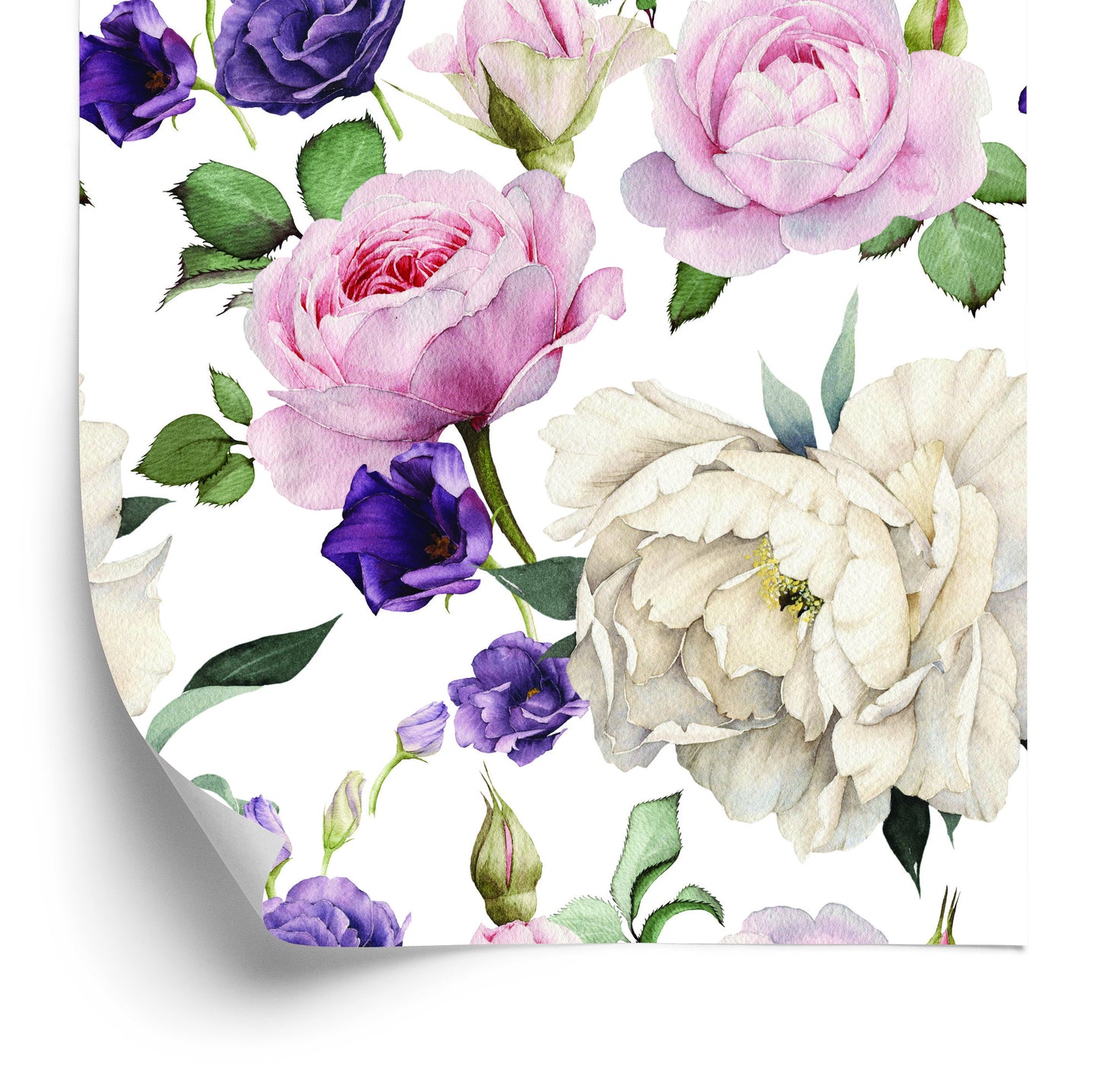 Wallpaper Roses