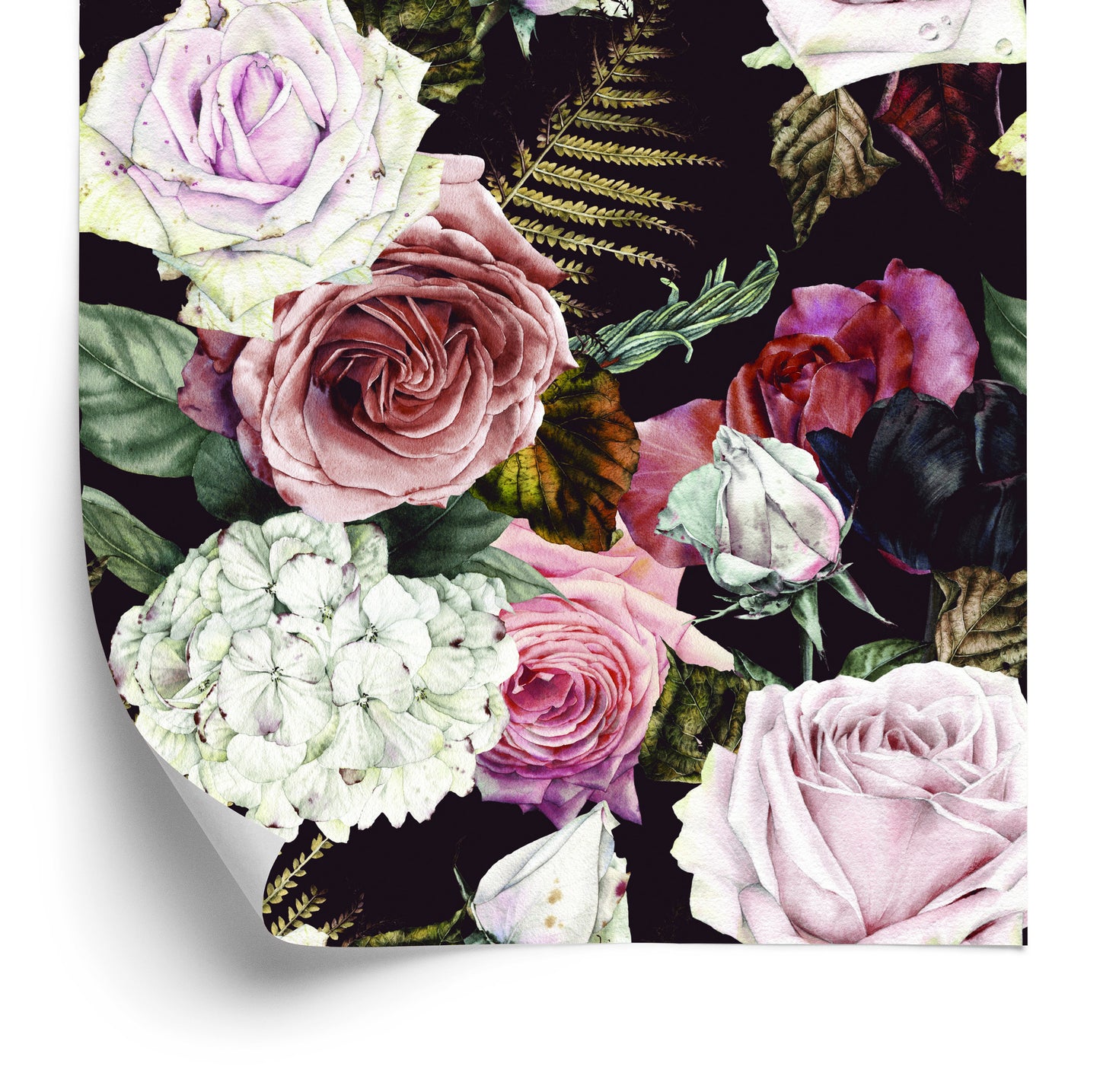 Wallpaper Roses, Fern Leaves