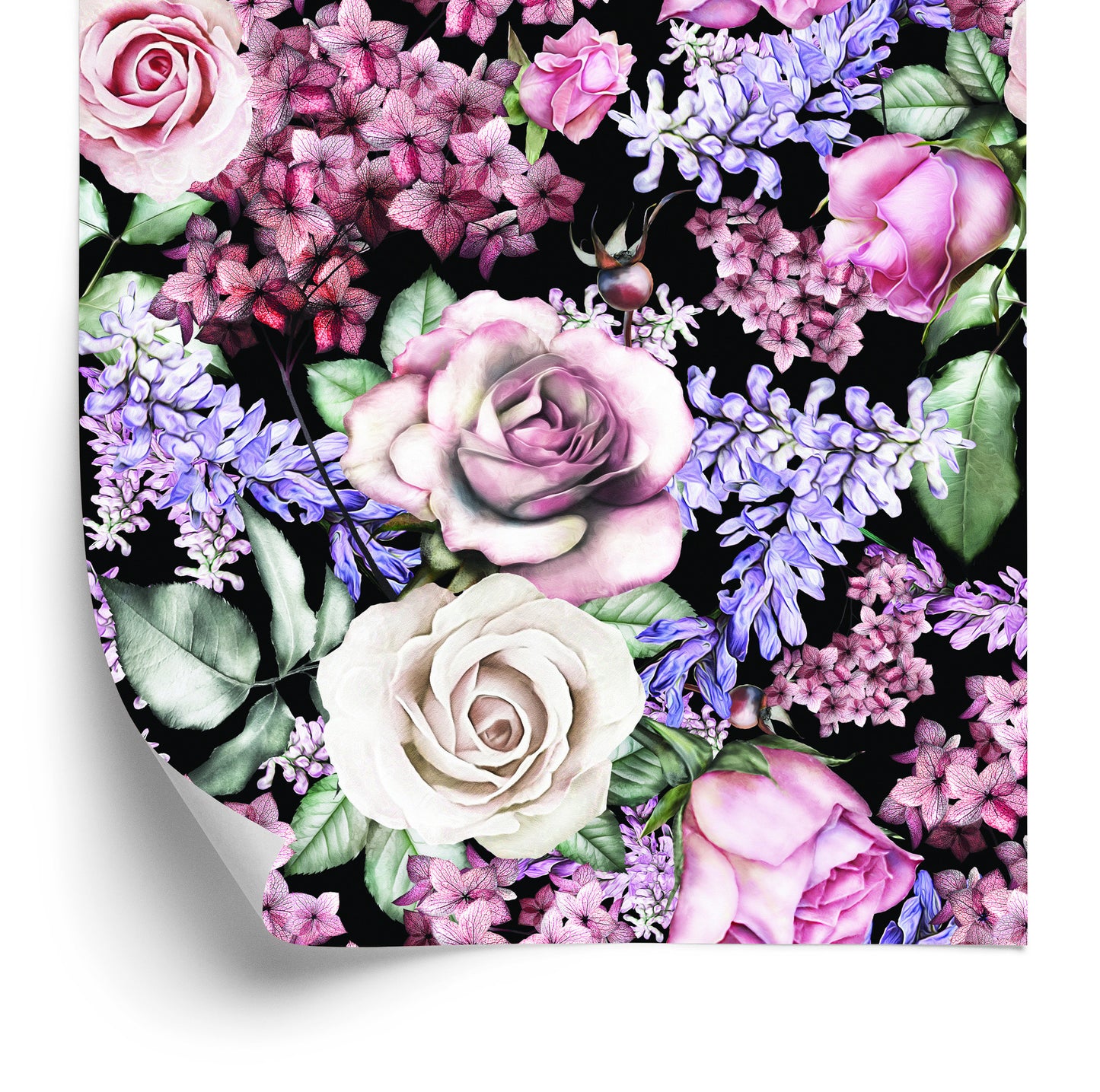 Wallpaper Colorful Roses