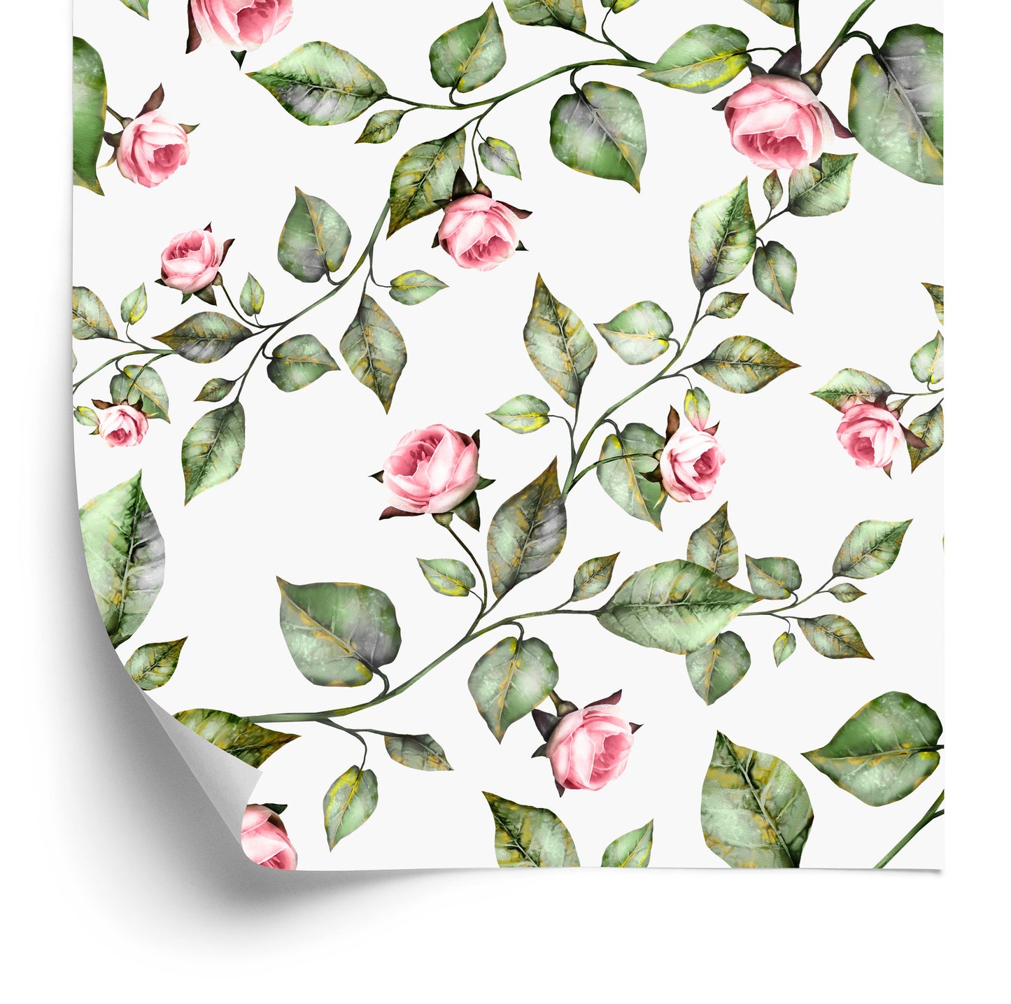 Wallpaper Classic Roses