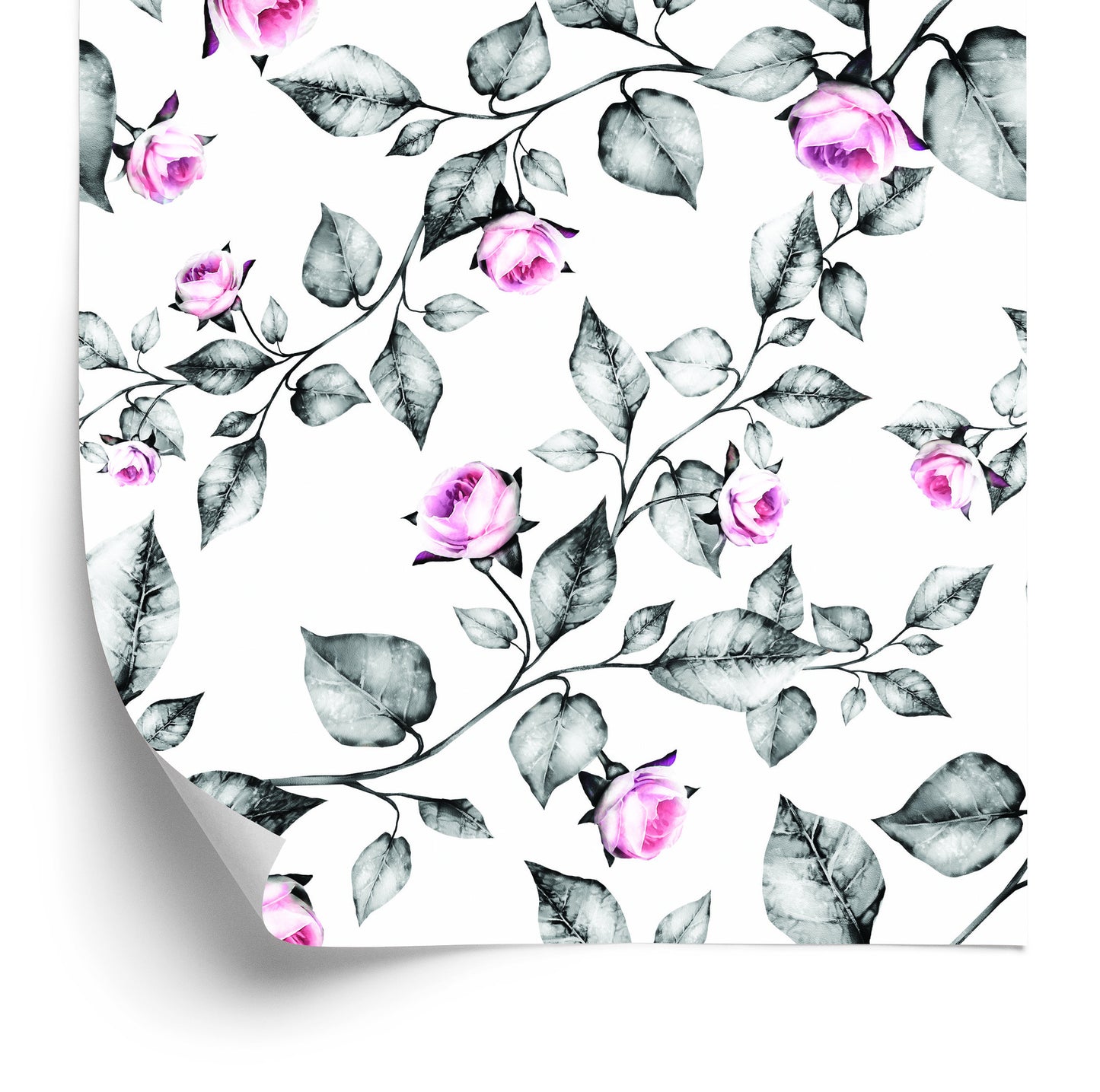 Wallpaper Flowers, Roses, Leaves
