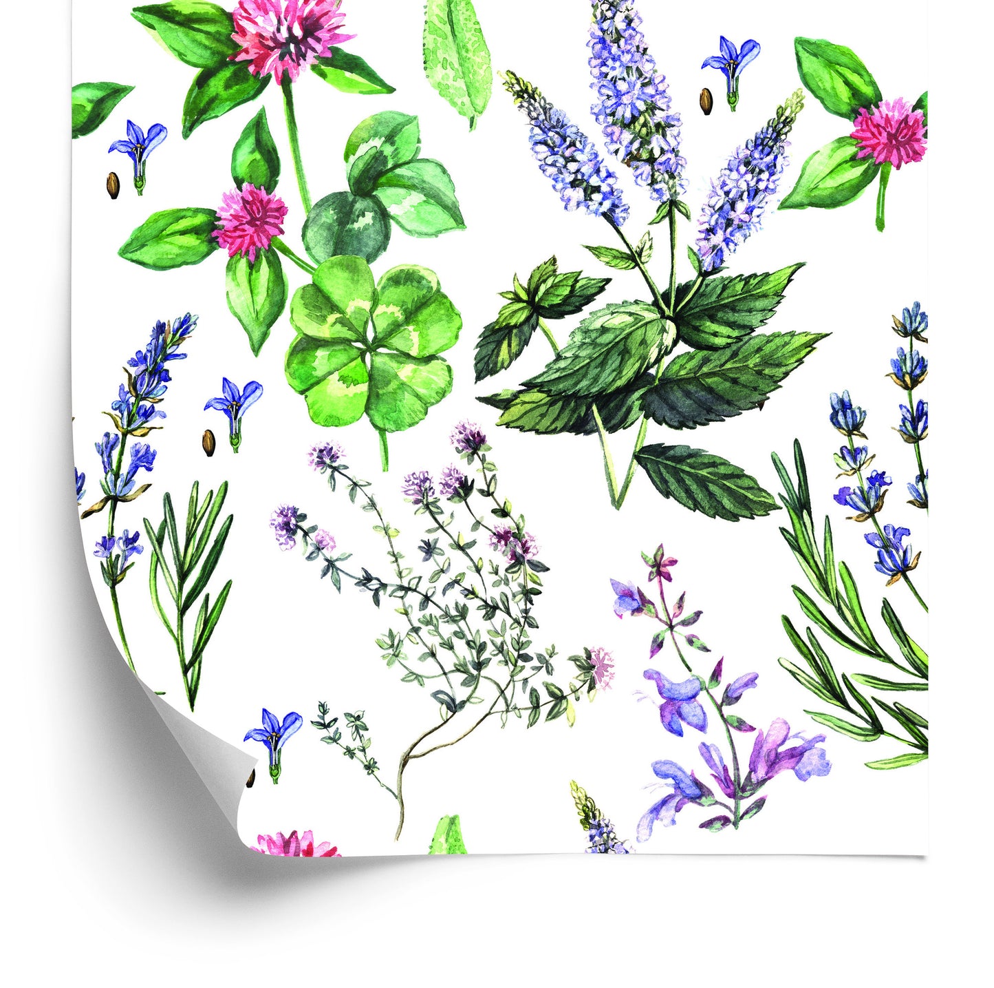 Wallpaper Lavender With Clover