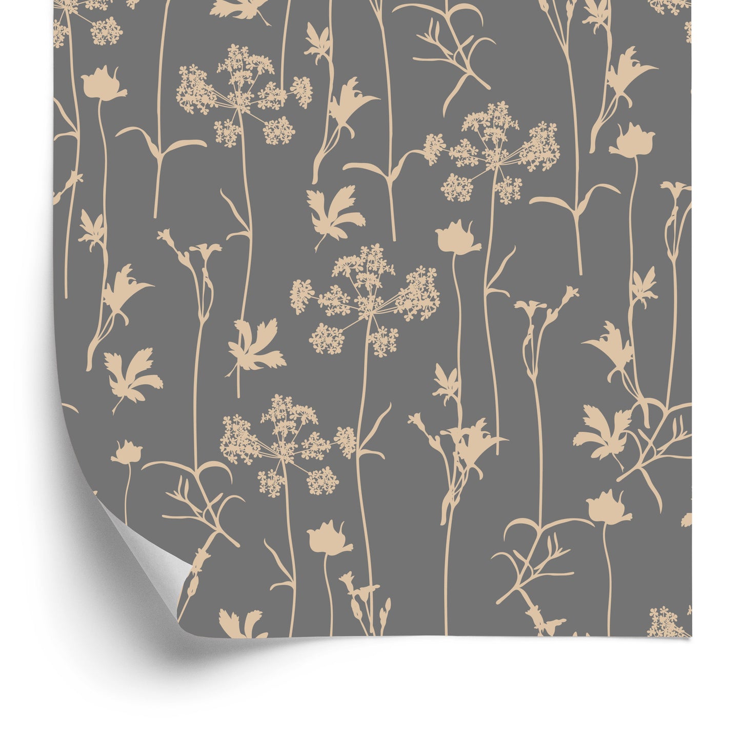 Wallpaper Medicinal Herbs