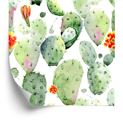 Wallpaper Cacti With Spots And Flowers