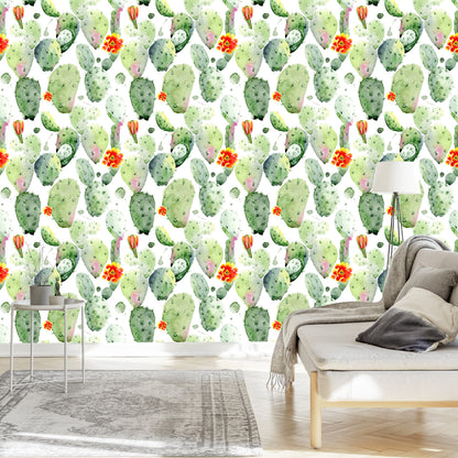 Wallpaper Cacti With Spots And Flowers