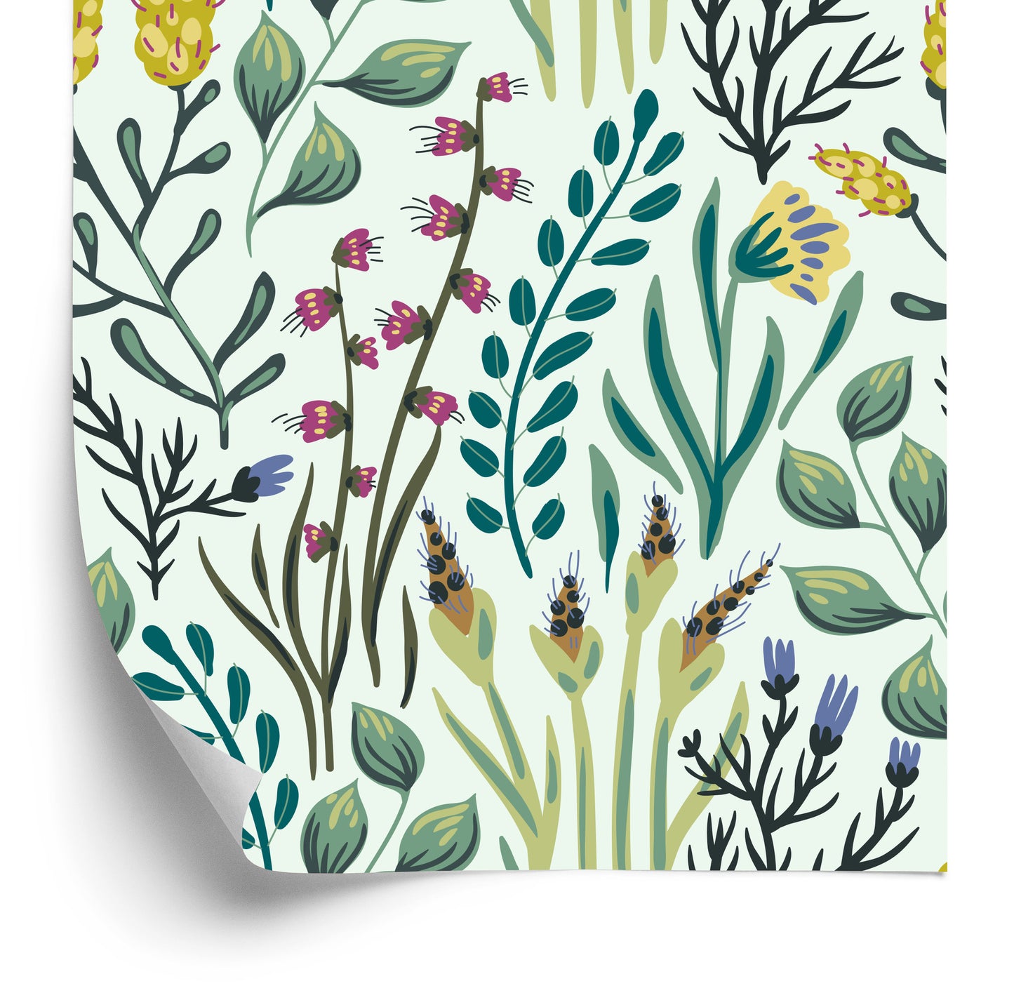 Wallpaper Flowers And Field Plants