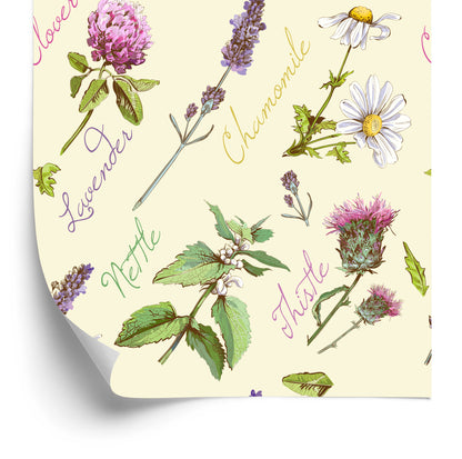 Wallpaper Daisies With Lavender