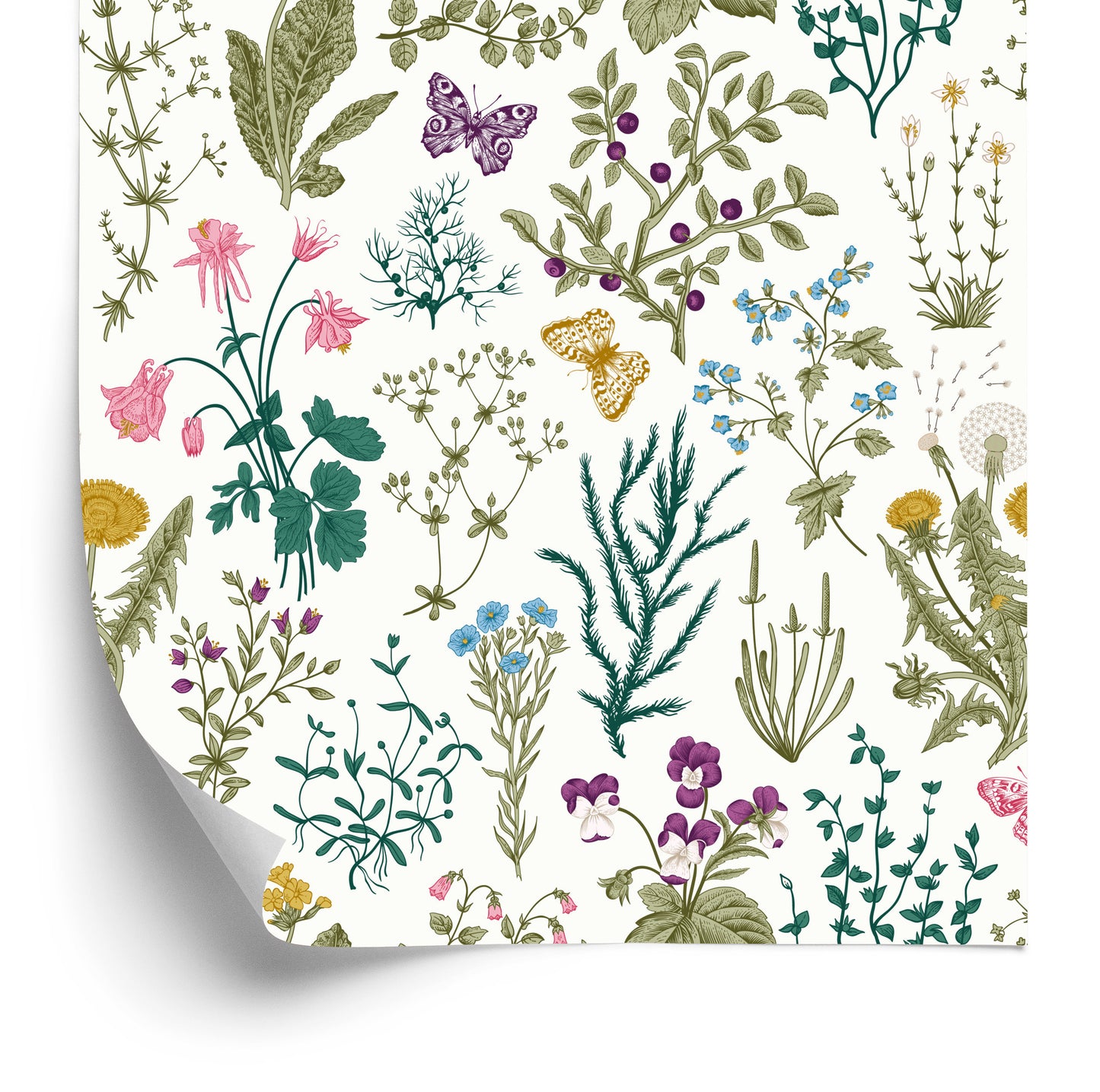 Wallpaper Wild Flowers With Butterflies