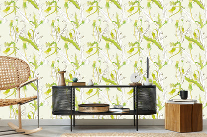 Wallpaper Young Dandelion Flowers