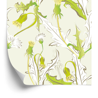 Wallpaper Young Dandelion Flowers