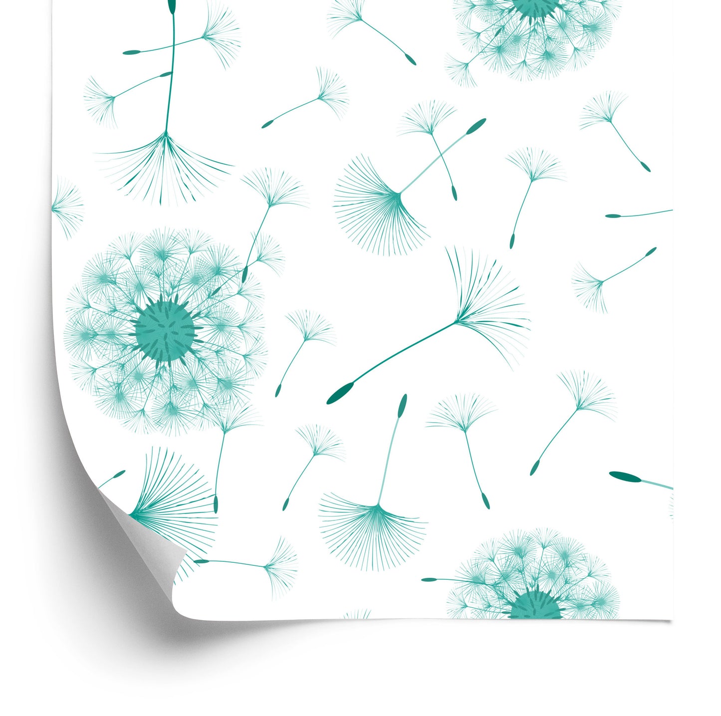 Wallpaper Dandelion Seeds Floated In The Wind