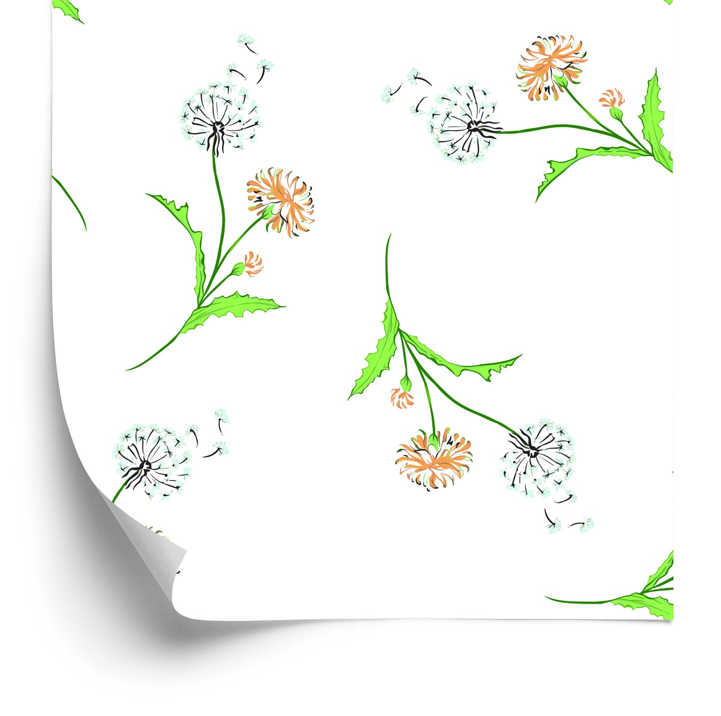 Wallpaper Colorful Dandelions