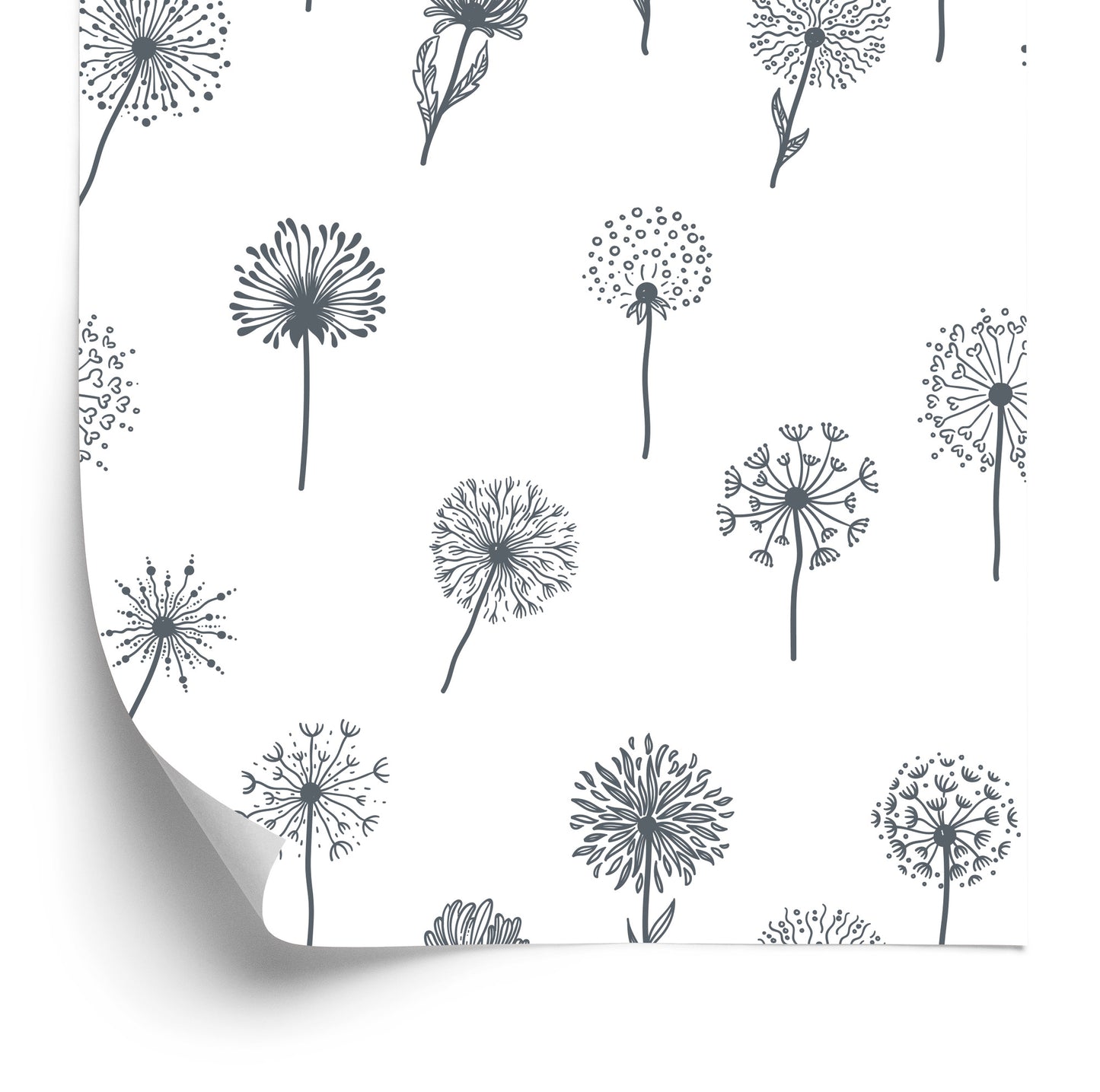 Wallpaper Dandelion With Field Flowers