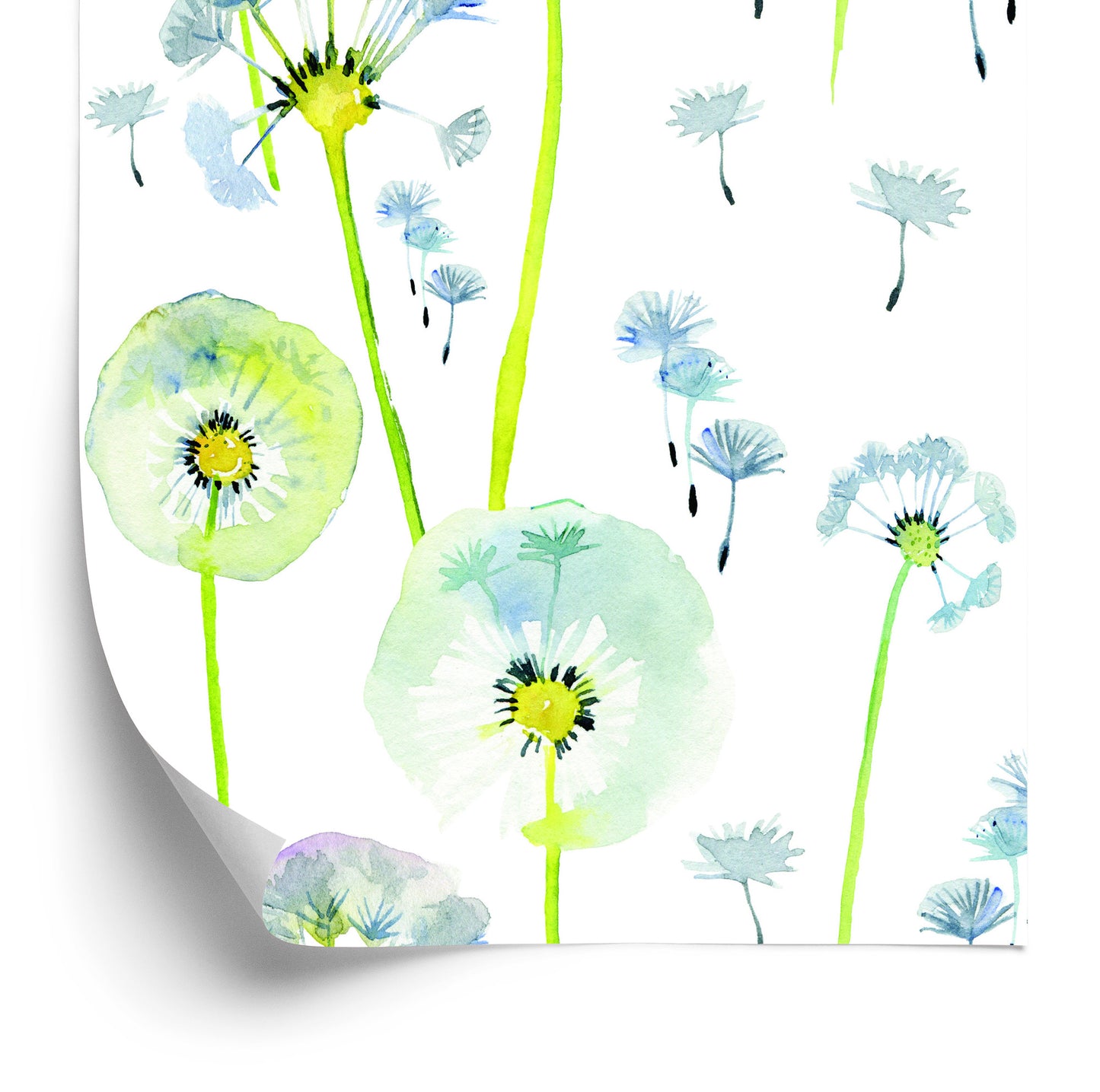 Wallpaper Colorful Dandelions Painted With Watercolors