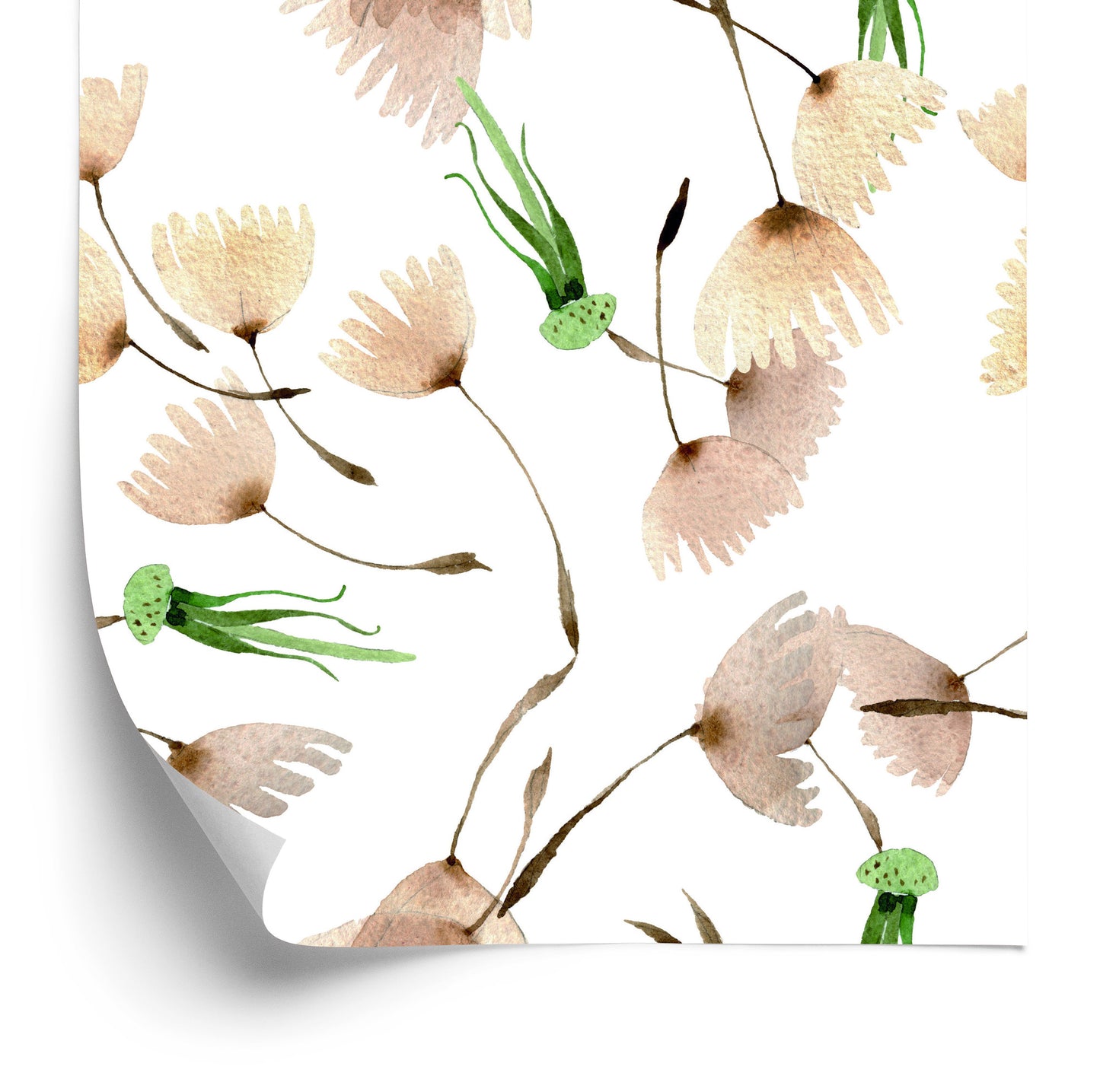Wallpaper Dandelion Seeds Painted In Watercolor