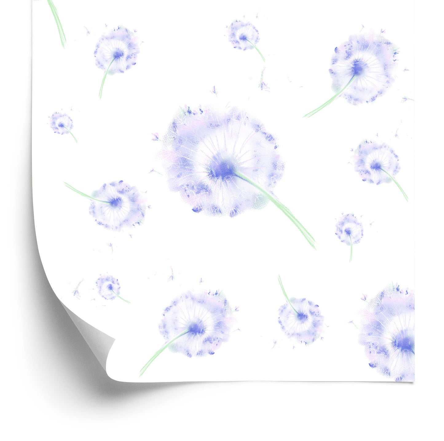Wallpaper Purple Dandelions