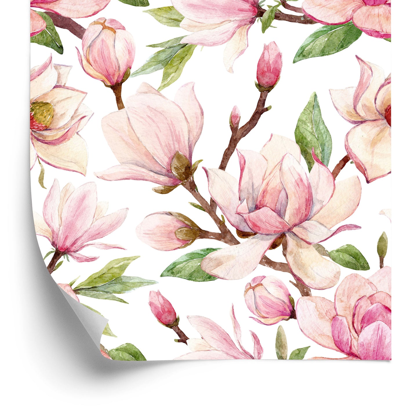 Wallpaper Spring Magnolia Flowers