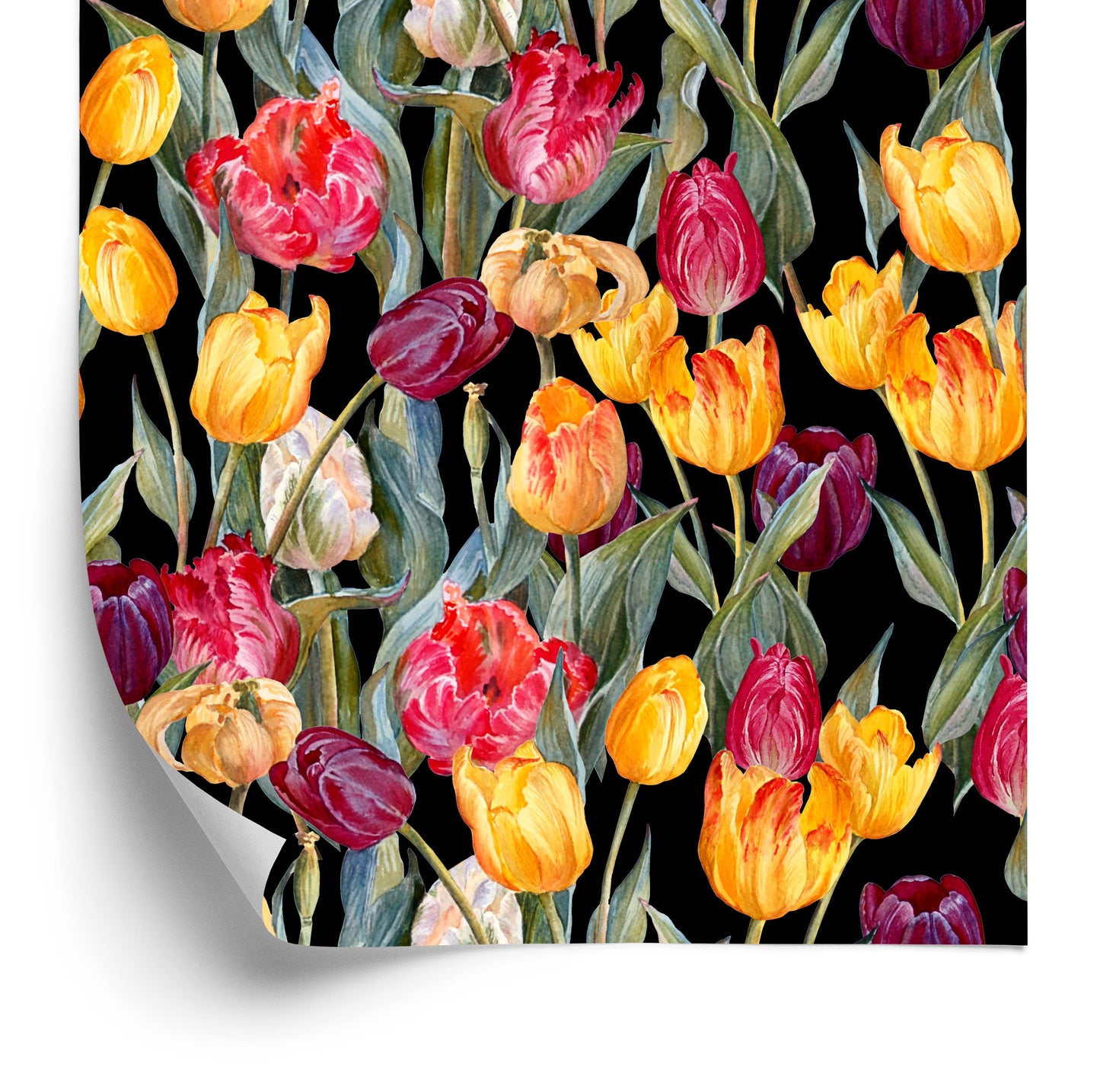 Wallpaper Colorful Tulips
