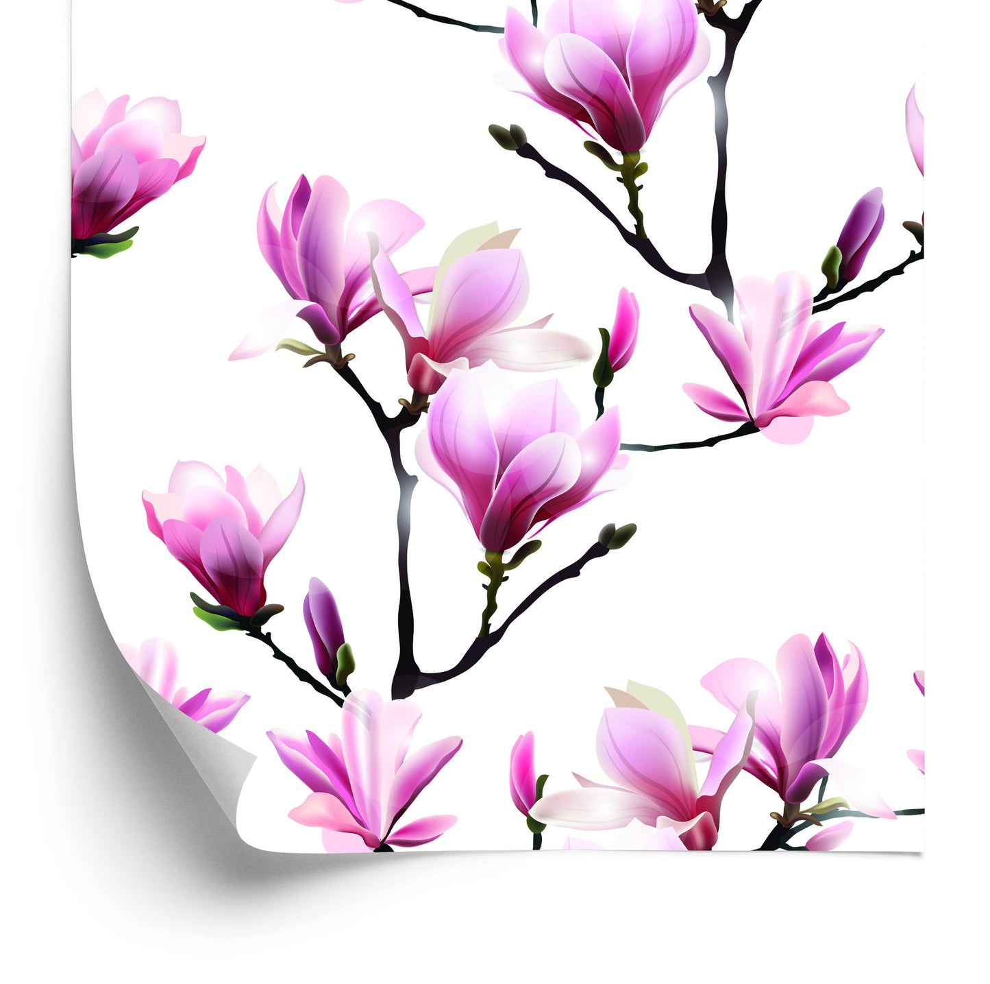 Wallpaper Pink Magnolia Flowers