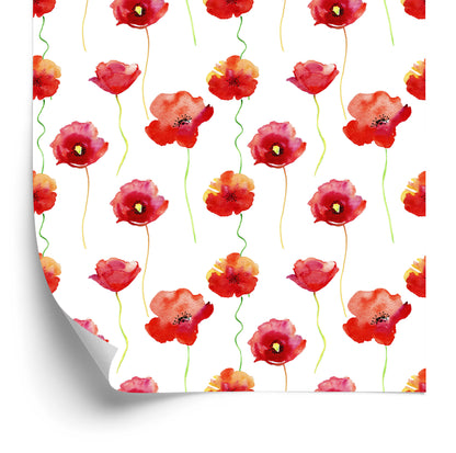 Wallpaper Poppies Painted With Watercolor