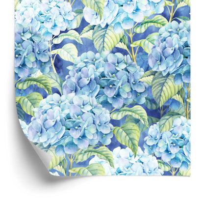 Wallpaper Hydrangea With Leaves