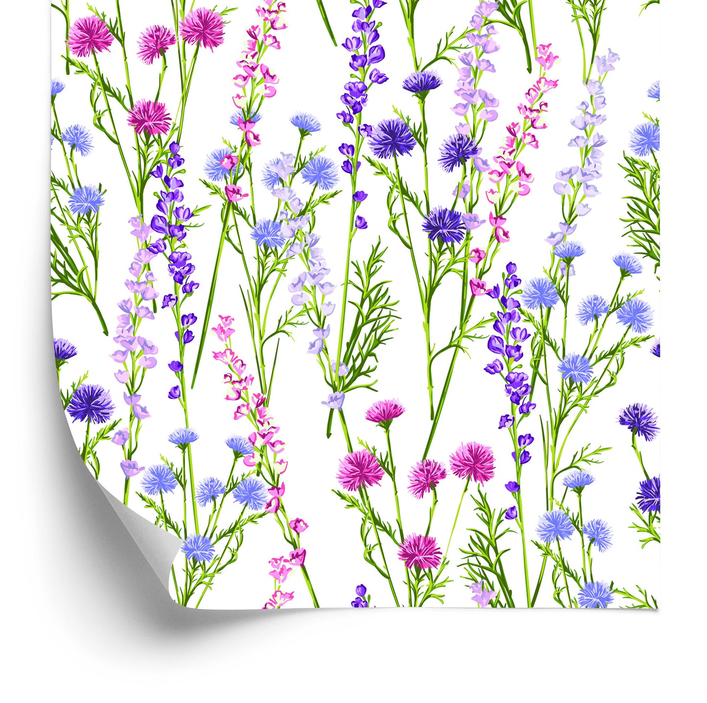 Wallpaper For The Dining Room. Spring Flowers Of Wild Plants