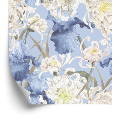 Wallpaper Chrysanthemums And Irises