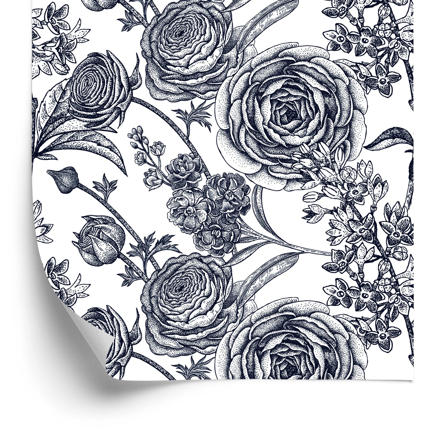 Wallpaper Black And White Roses With Carnations