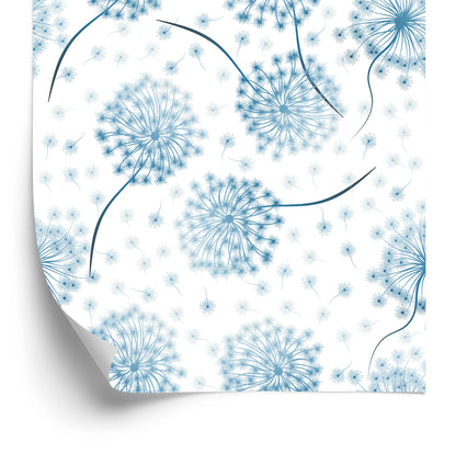 Wallpaper Dandelion Flowers With Seeds