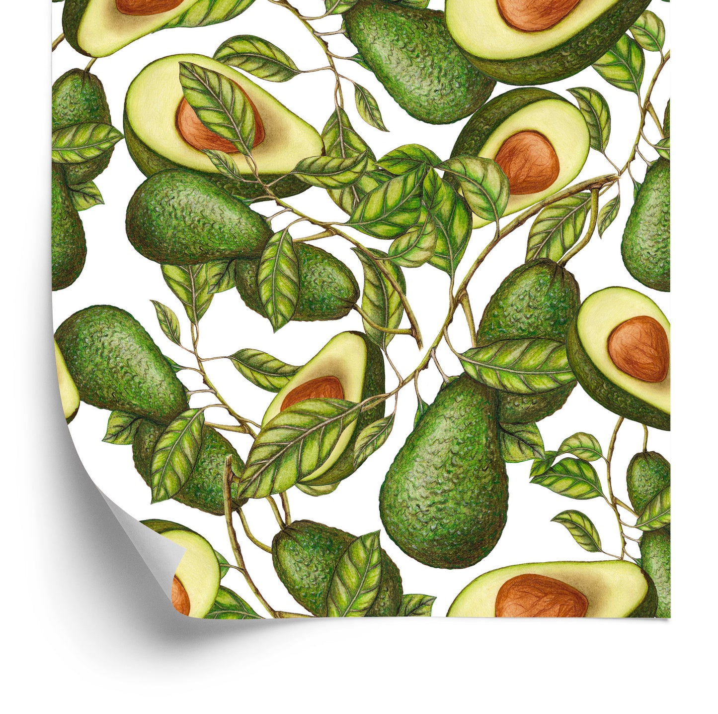 Wallpaper For The Kitchen - Healthy Avocados